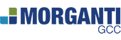 Paracon Consultants BIM Development Programming Clients Morganti group USA