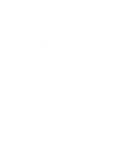 Paracon Logo inverted White